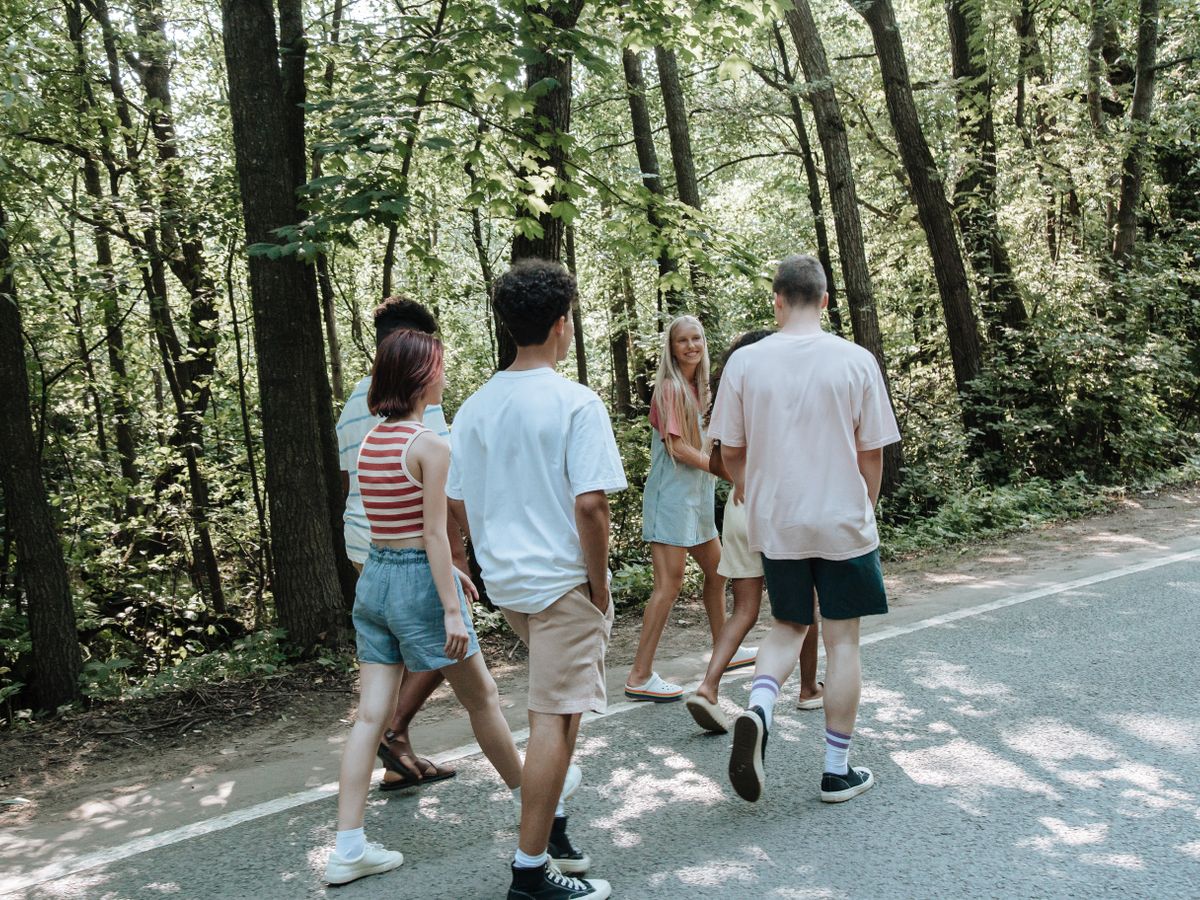 A group walking together along a tree-lined path